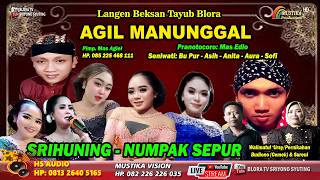 SRIHUNING - NUMPAK SEPUR // TAYUB BLORA AGIL MANUNGGAL FEAT HS AUDIO PRO