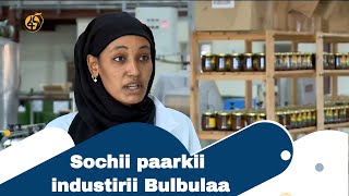 Sochii paarkii industirii Bulbulaa