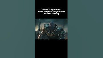 Senior Programmer when the junior programmer can