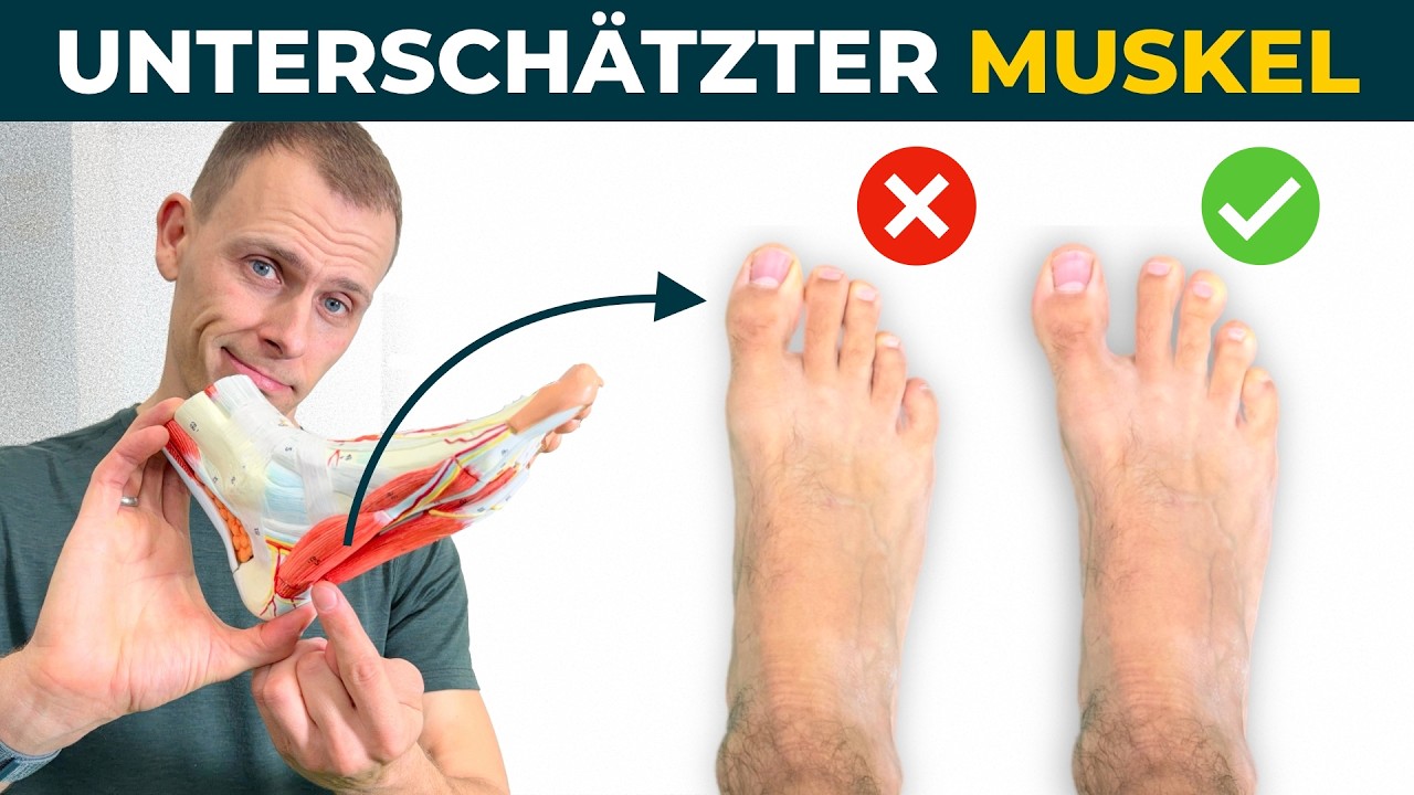 Niemand trainiert ihn - dabei stabilisiert er dein ganzes Fußgewölbe 🦶🏻(Abductor hallucis)