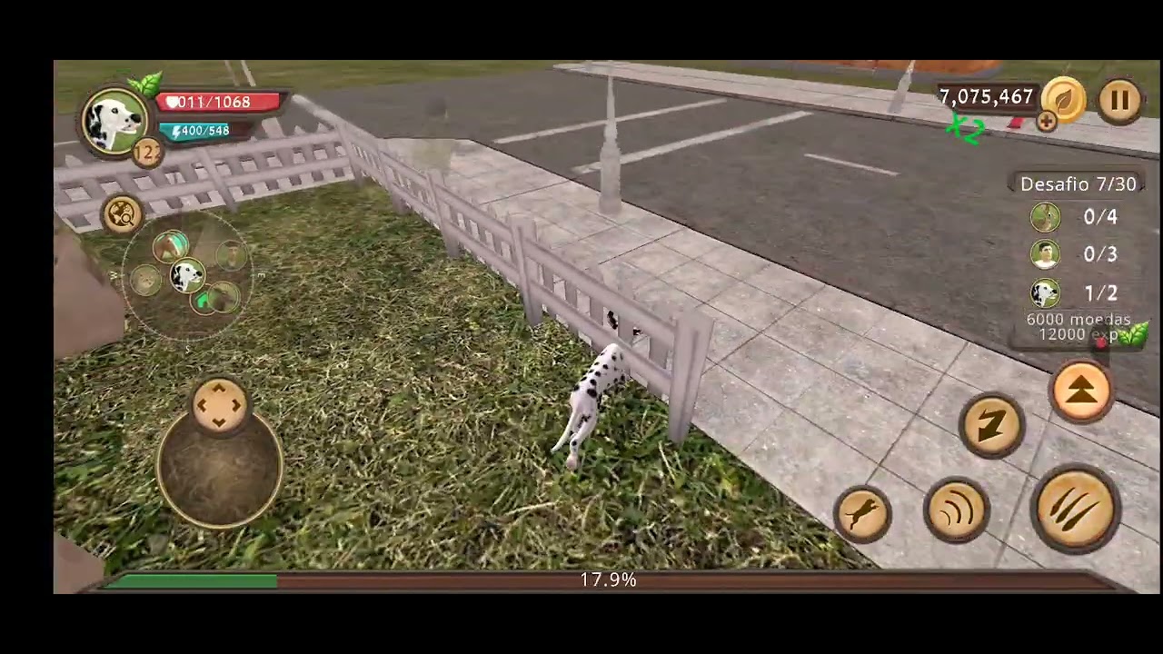 21 de fevereiro de 2026 patê 1 filhote continua amanhã