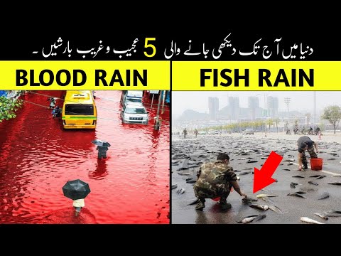 5 Strange Rains Happened Once on Earth | Urdu / Hindi | White Line.