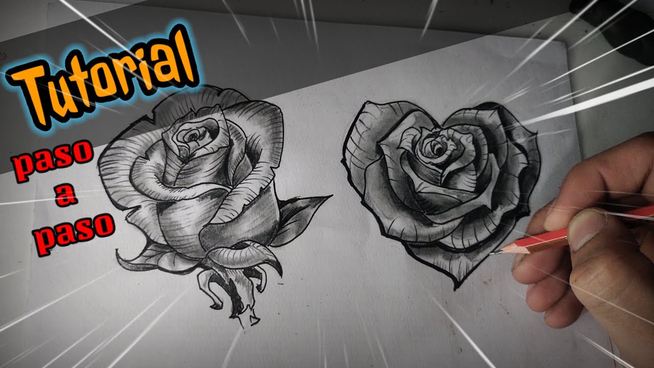 Cómo dibujar una rosa y una rosa corazón / fácil paso a paso y ...