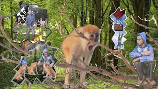 ايرور 404 screenshot 2