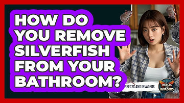 How Do You Remove Silverfish From Your Bathroom? - Insects and Invaders