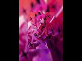 hells greatest dad slowed hazbin hotel