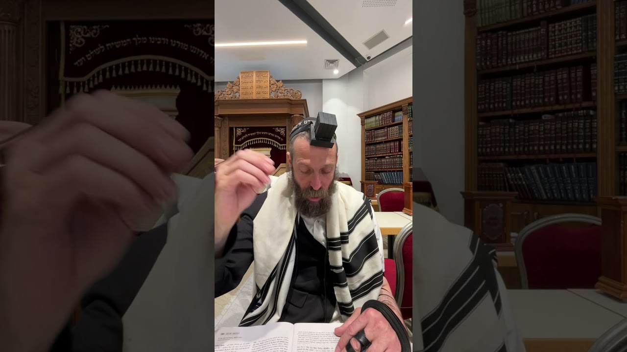 איך מכ"ב אותיות נברא ריבוי עצום של נבראים? | הרב מנחם מיידנצ'יק, ה' תמוז | פרק י"ב עמ' 89