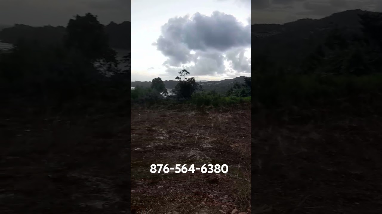 Relocate to Jamaica's north coast 