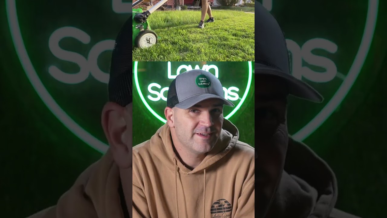 Tall Fescue Mowing Height