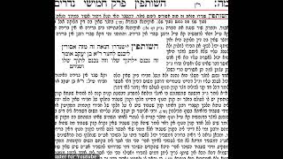 נדרים מה דף יומי מסכת נדרים דף מה Daf yomi Nedarim 45 שמואל נבון