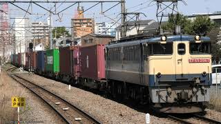 4月11日国際海上コンテナを輸送する貨物列車 牽引はEF65 2067号機(R5.4.11)