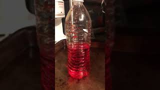CH 116 Intermolecular Forces Water and Oil Experiment Video- Sean Daily