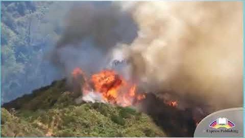 Action 10  Module 2  Ex 3 p 21 Natural Disasters