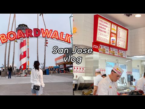 San Jose 산호세 여행 브이로그 혼자하는 미국여행 산호세 맛집 산호세 가볼만한 곳 