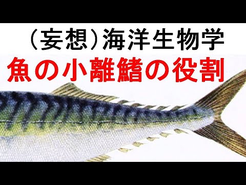 小離鰭の役割 Youtube