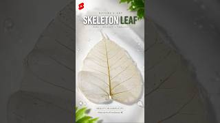 DIY #diy #leaf #fypp #fyp #handmade #reels #shorts #viral #easy #ideas #skeleton #nature #art