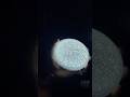 Crystal look Cilling light available Best quality ⚡️💯contact 03224954729 #cillinglight #roomlight