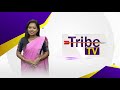 Tribe tv channel promotion