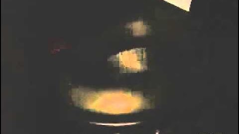 12vdb.com - car audio database: Stereo Integrity Magnum12.20