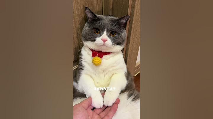 🐱：在这家是过不下去了…#我镜头下的小猫 #谁能拒绝傻憨憨的小猫咪 #猫咪的不服全写在脸上