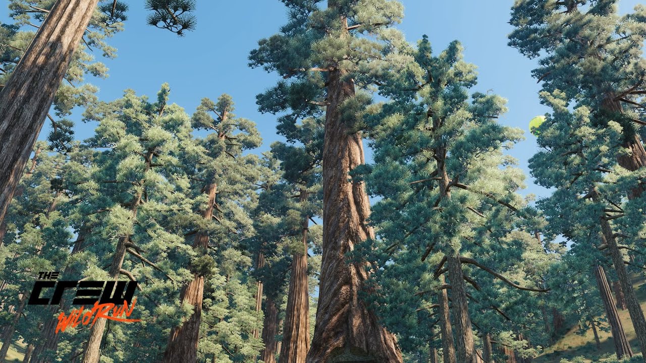 THE CREW MY TOP TEN BEST DIRT SPEC CARS!