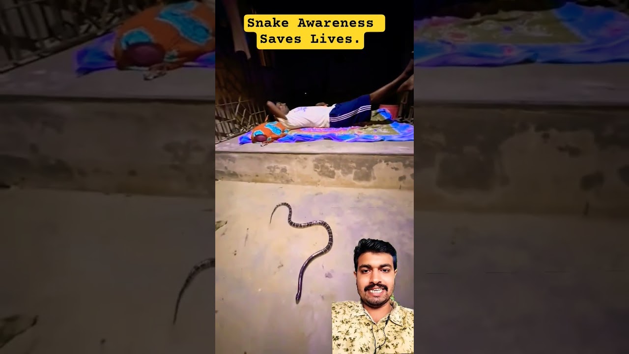 Sleeping Outdoors ? Snake Awareness 