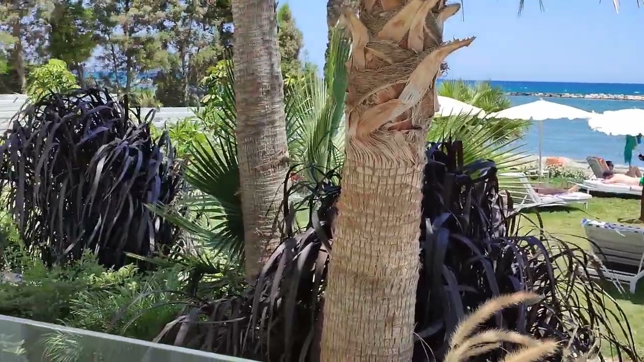 Cyprus\Radisson beach hotel