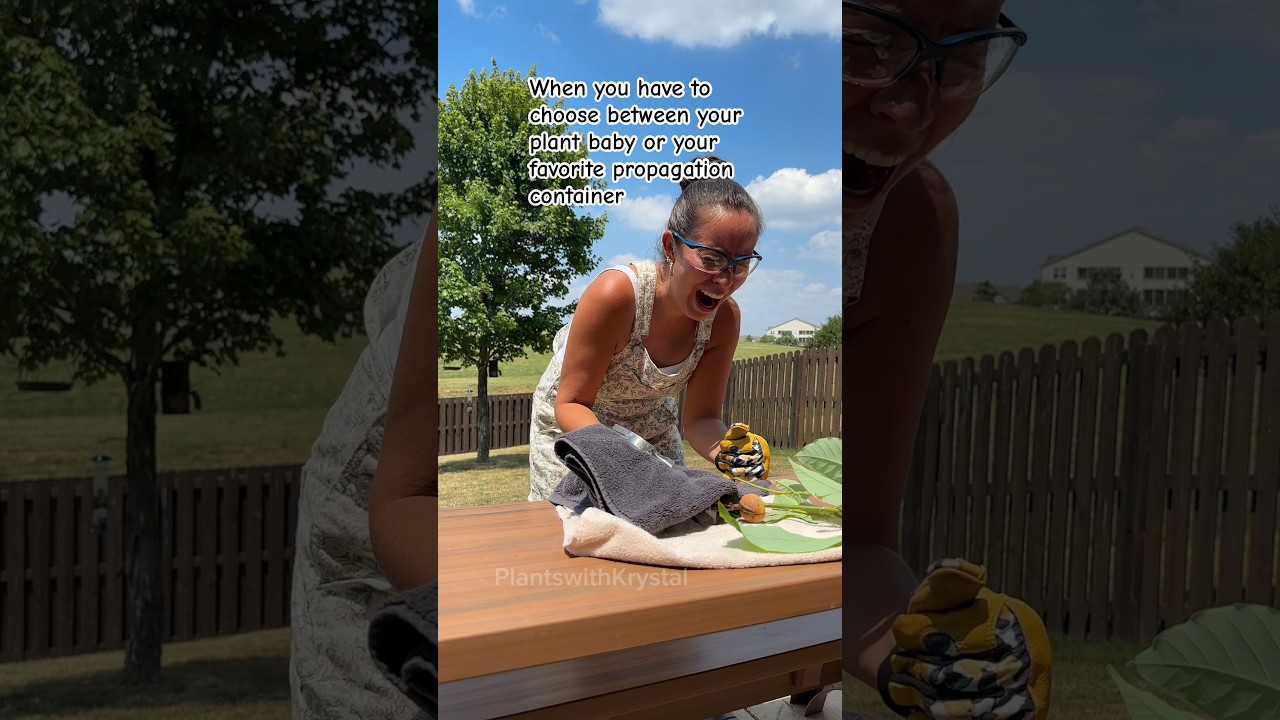 I will always choose you my plant baby. Mommas got you! 😂 