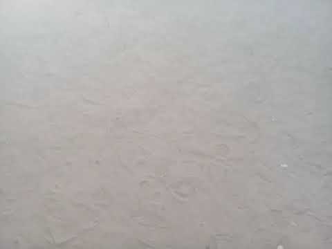 بـيبـوب واحدة من العروض الثقافية في التراث الشعبي لقبيلةالبجاوهي رقصة حماسيةغالبا في مناسبةالزواج