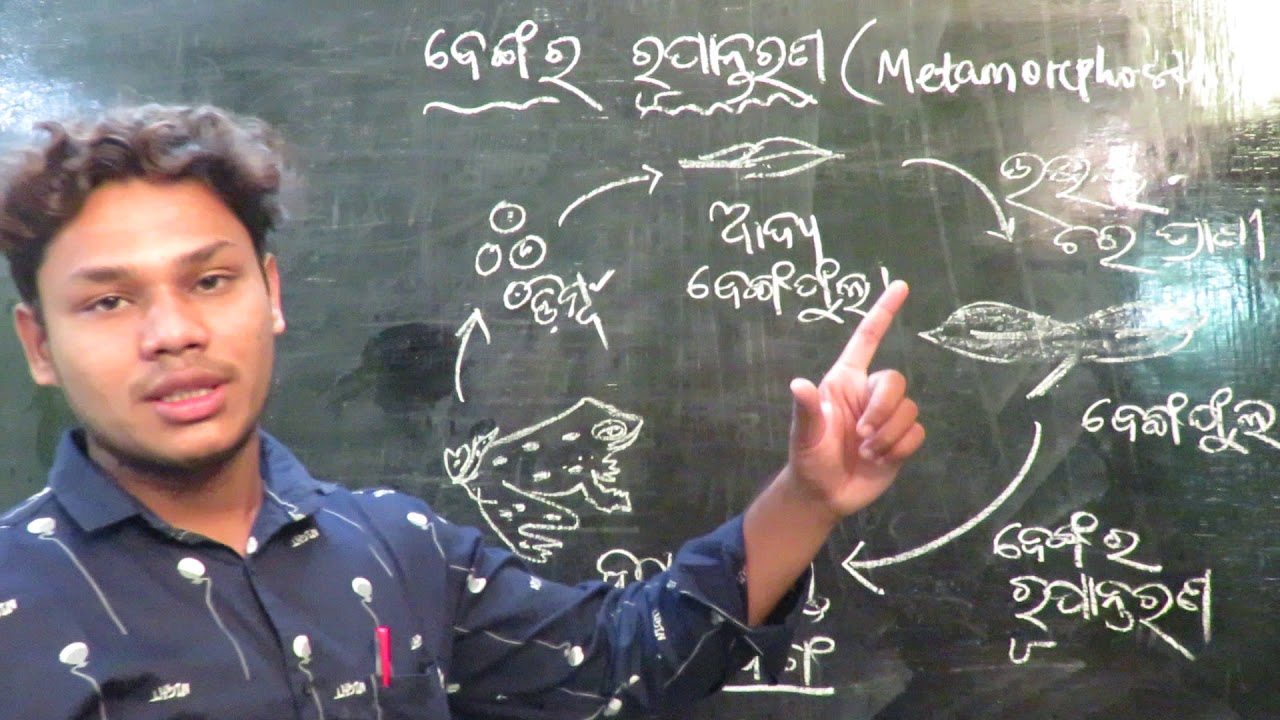 8th Class Odia Medium Science YouTube