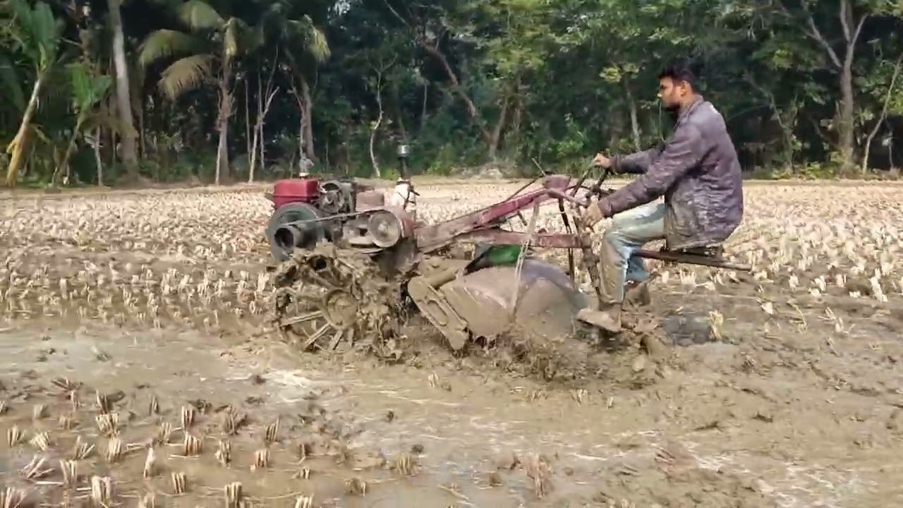  পাওয়ার টিলার দিয়ে ভুই পাকাচ্ছে/ 