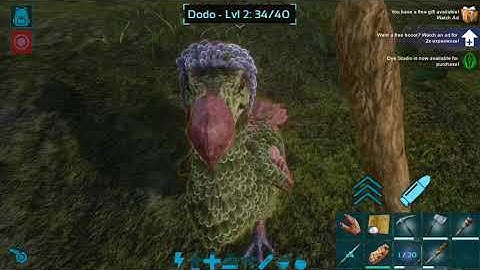 How to tame a dodo in ark Mobile