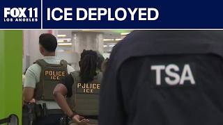 Famous ICE agents to help TSA amid partial shutdown Net Worth
