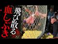 【和魂】全身刺青の男たちが本気の流血試合【前編｜地下格闘技】