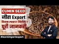 How to export cumin seeds from india  what are the profits  detailed information by harsh dhawan