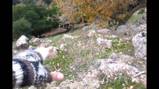 The big crater - Golan hights