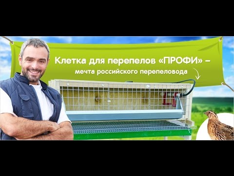 Большой Фермер Интернет Магазин Купить