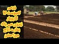 vermicompost business in pakistan golden time for this business