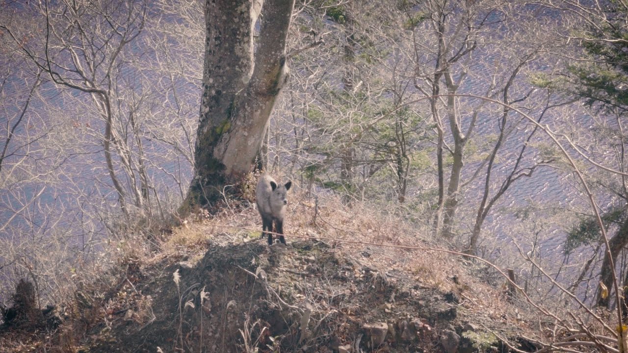 [ 群馬旅Vlog#01 ] 11月の四万温泉