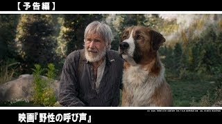 ハリソン・フォード主演 ディズニーの名作『ライオン・キング』『アラジン』のクリエイターが贈る最新作。