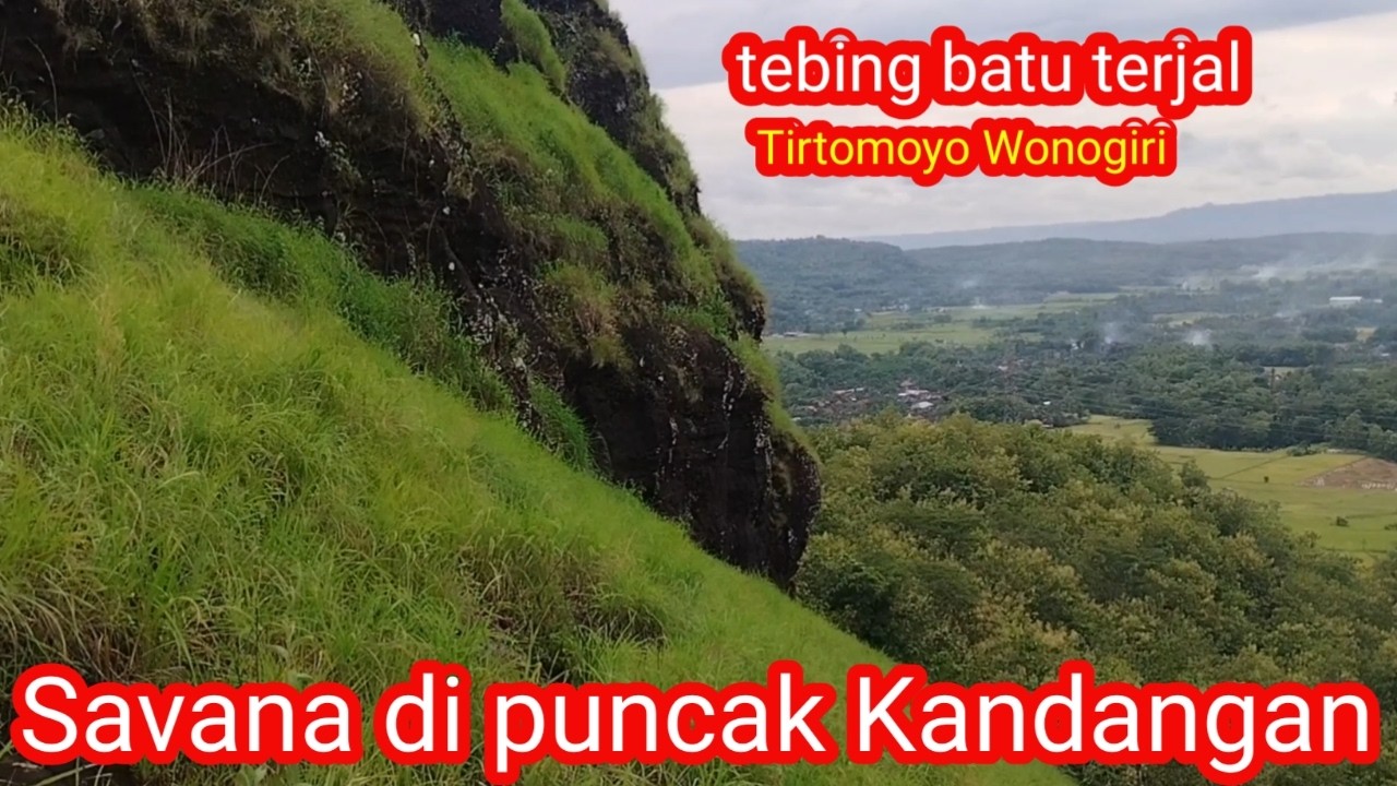 Padang Savana di Bukit Batu Kandangan.