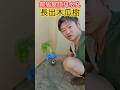 防颱準備 發現屋頂排水孔長出木瓜樹