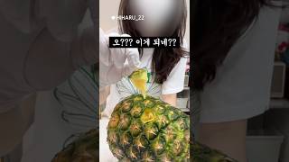 파인애플은 이제부터 손으로 뽑아먹자