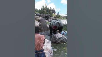 Great survival skills v107 #shorts