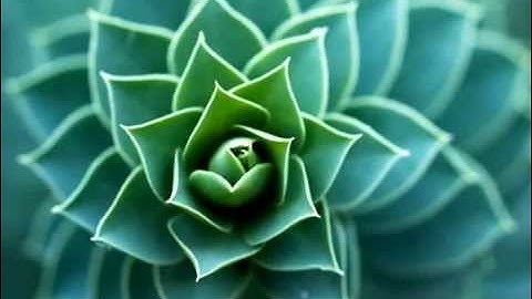 Pisano period (n=12) in music. Fibonacci Numbers (x8 slower)