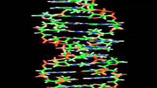 Famous ENCODE Project – Discarding ‘Junk DNA’ for Good! Profile