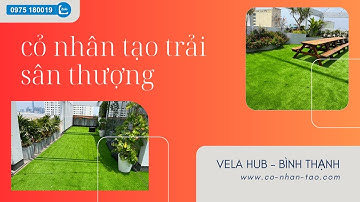 Cỏ Nhân Tạo Trải Sân Thượng tại Vela Hub Bình Thạnh