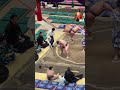 納谷！2026年大相撲5月場所