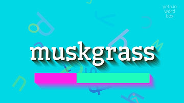 How to say "muskgrass"! (High Quality Voices)