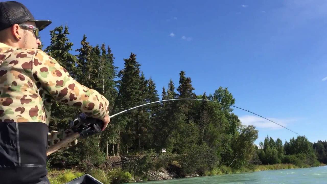 Kasilof River Alaska King Salmon Steelybeads July 27, 2016